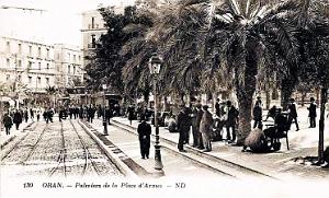 ORAN - PLACE D'ARMES - PALMIERS